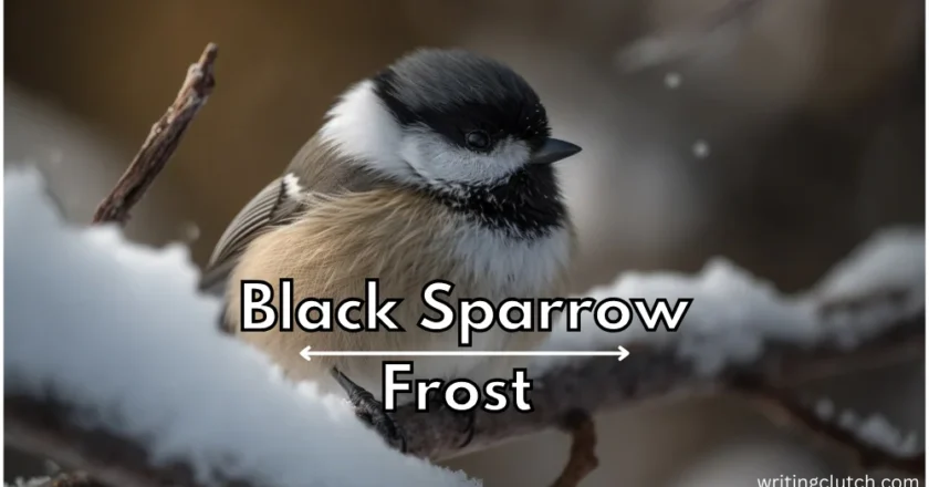 Investigating the Black Sparrow Frost Phenomenon