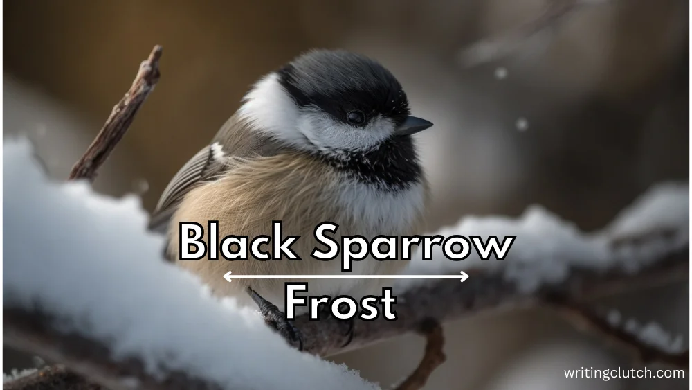 Black Sparrow Frost